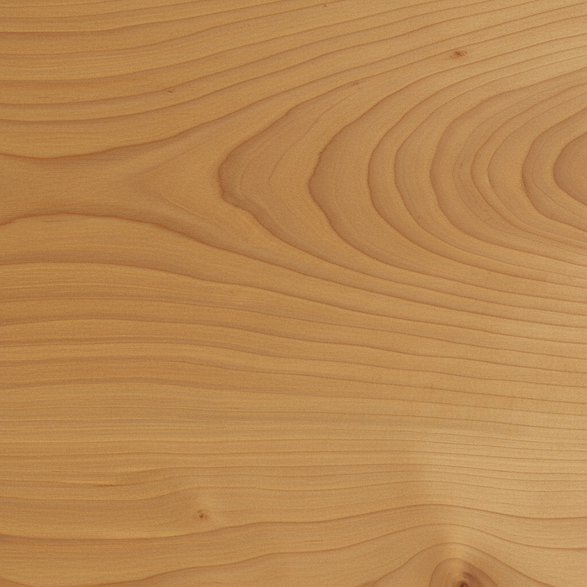 Bonzon Ambiance Bois Agencement 06